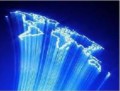 PM1310-FOG-Bow-tie PM fiber(1310nm, MFD=6.0±1.0)